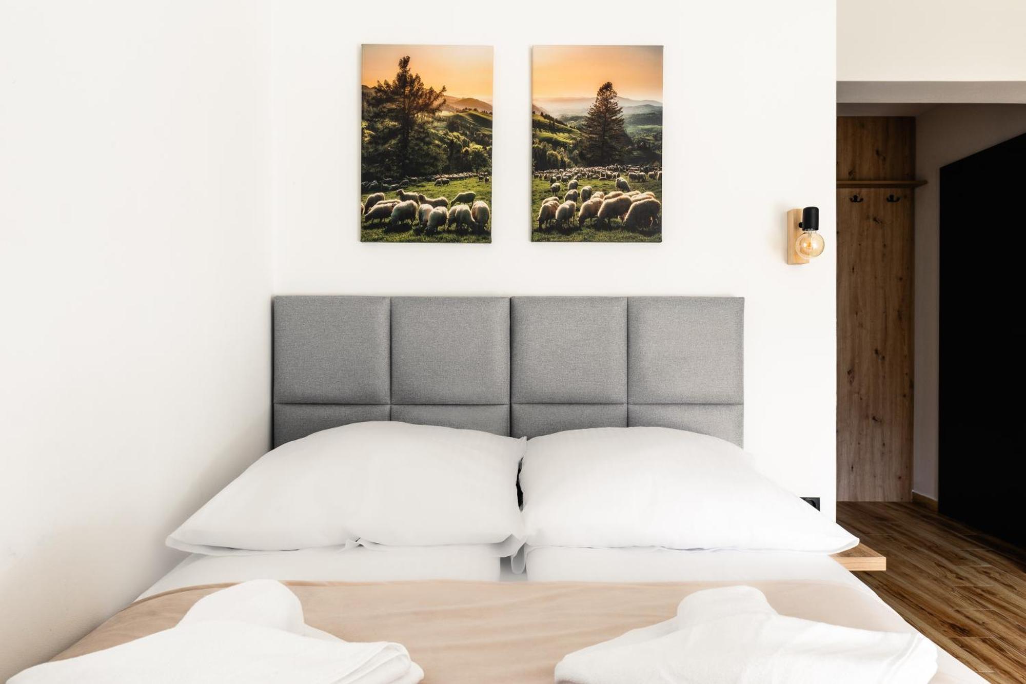 Apartamenty Zakochata ザコパネ エクステリア 写真