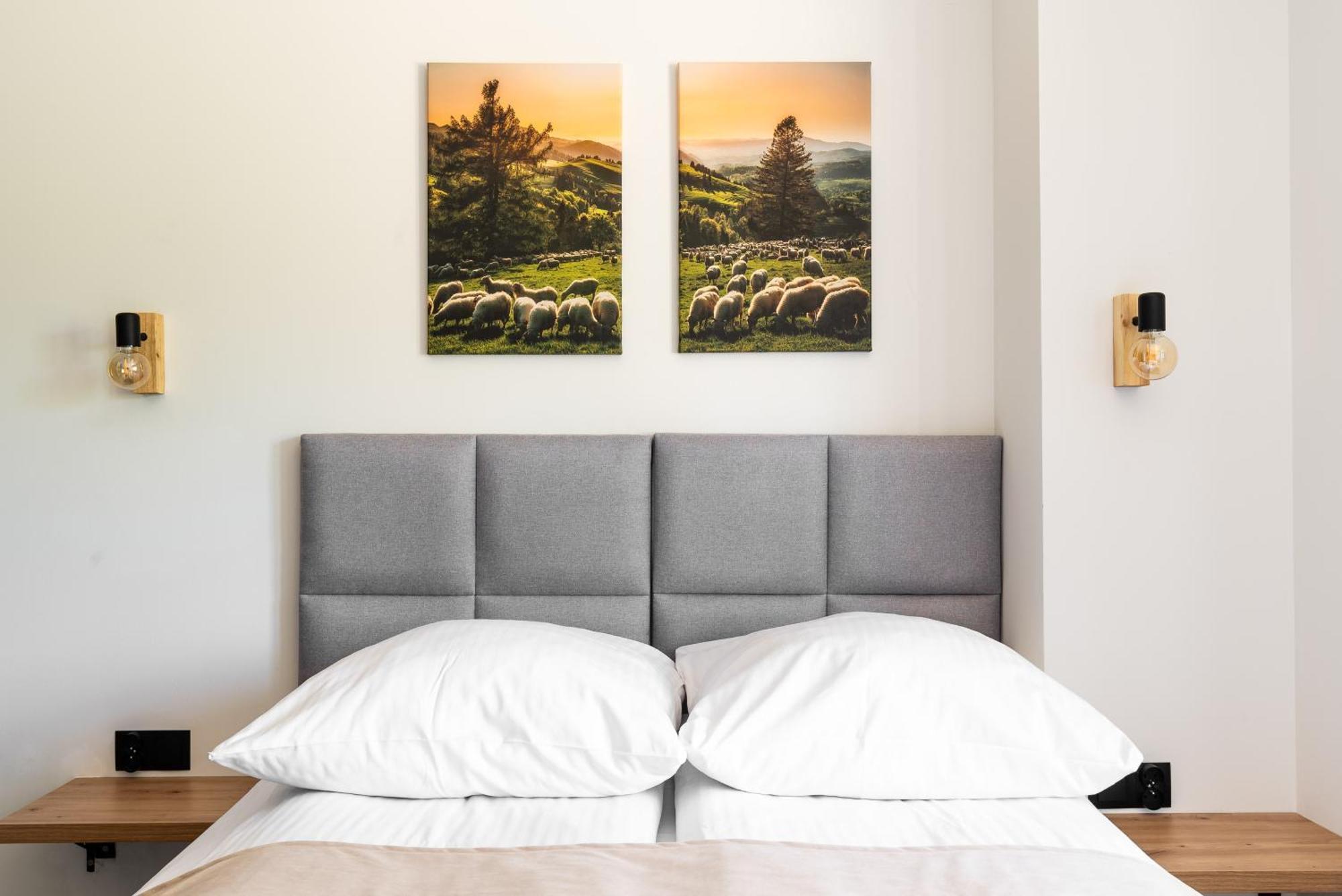 Apartamenty Zakochata ザコパネ 部屋 写真