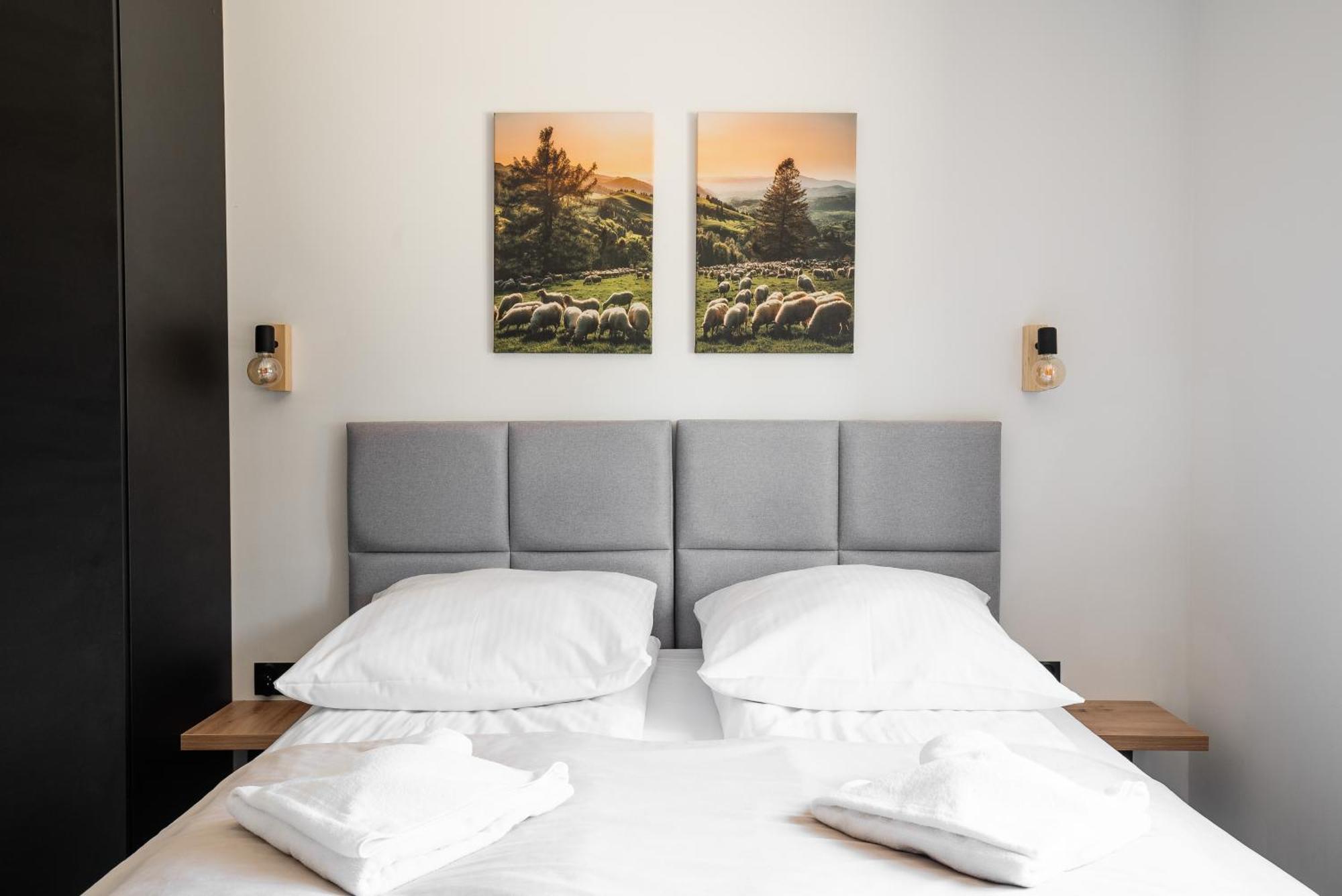Apartamenty Zakochata ザコパネ 部屋 写真